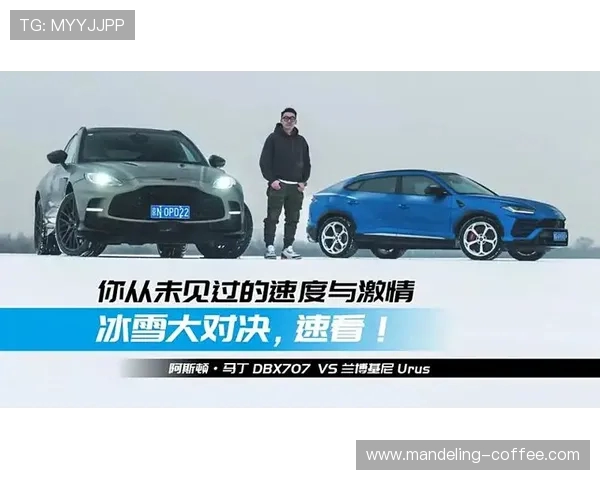 杭州与武汉极限运动队速度对决赛后分析与战术反思